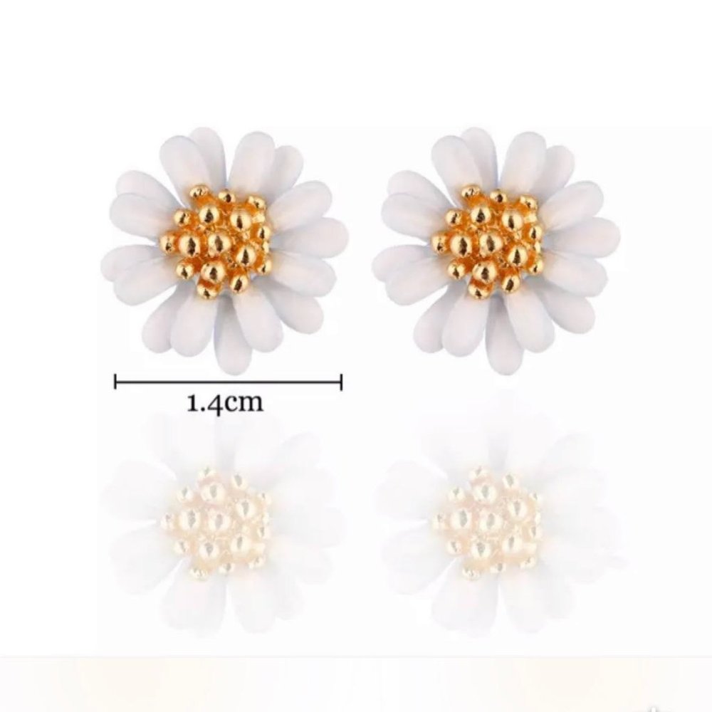 Korean Style Earrings